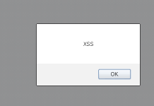 آسیبپذیری XSS چیست آسیبپذیری XSS چیست