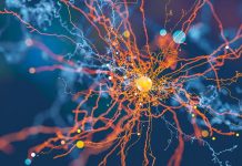 اینفوگرافیک حملات باجافزار در حال افزایش است اینفوگرافیک حملات باجافزار در حال افزایش است