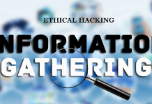 معرفی ۸ ابزار برای جمعآوری اطلاعات معرفی ۸ ابزار برای جمعآوری اطلاعات