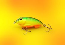 ۶ نکته ضدفیشینگ – جلوگیری از فیشینگ ۶ نکته ضدفیشینگ