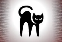 باج افزار BlackCat – آنچه باید بدانید باج افزار BlackCat – آنچه باید بدانید