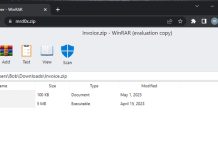 حملههای فیشینگ با دامنه ZIP.