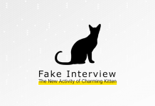 معترضان ایرانی هدف بچه گربه جذاب شدهاند معترضان ایرانی هدف بچه گربه جذاب شدهاند