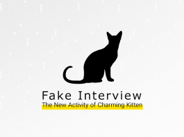 معترضان ایرانی هدف بچه گربه جذاب شدهاند معترضان ایرانی هدف بچه گربه جذاب شدهاند