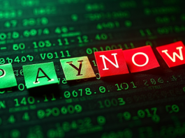 شناسایی خانواده جدیدی از باجافزارها: باجافزار Ymir شناسایی خانواده جدیدی از باجافزارها: باجافزار Ymir