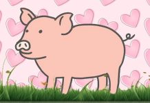 وقت آن رسیده که دیگر آن را “قصابی خوک” ننامیم وقت آن رسیده که دیگر آن را "قصابی خوک" ننامیم