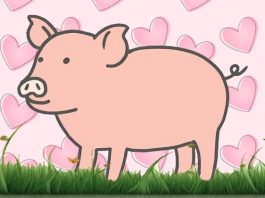 وقت آن رسیده که دیگر آن را “قصابی خوک” ننامیم وقت آن رسیده که دیگر آن را "قصابی خوک" ننامیم