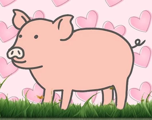 وقت آن رسیده که دیگر آن را “قصابی خوک” ننامیم وقت آن رسیده که دیگر آن را "قصابی خوک" ننامیم