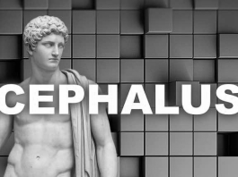 باجافزار Cephalus – آنچه باید بدانیم باجافزار Cephalus - آنچه باید بدانیم