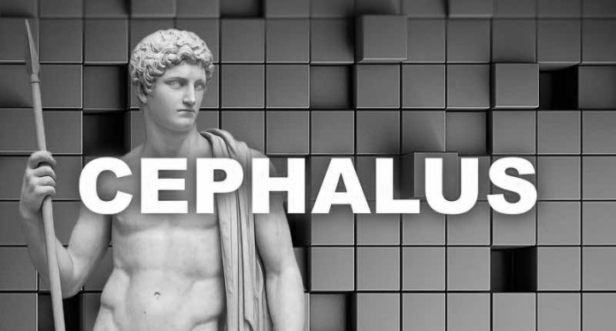 باج‌افزار Cephalus - آنچه باید بدانیم