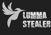 مجرمان سایبری علیه یکدیگر: داستان سقوط Lumma Stealer مجرمان سایبری علیه یکدیگر: داستان سقوط Lumma Stealer